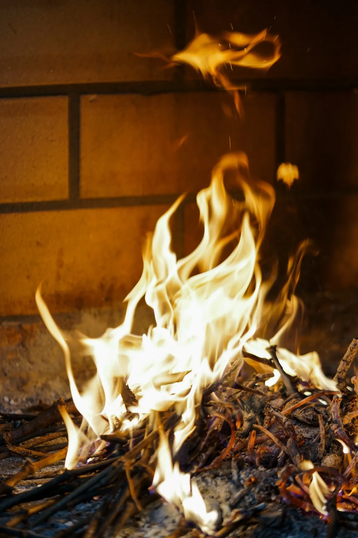 Brasa de sarmiento